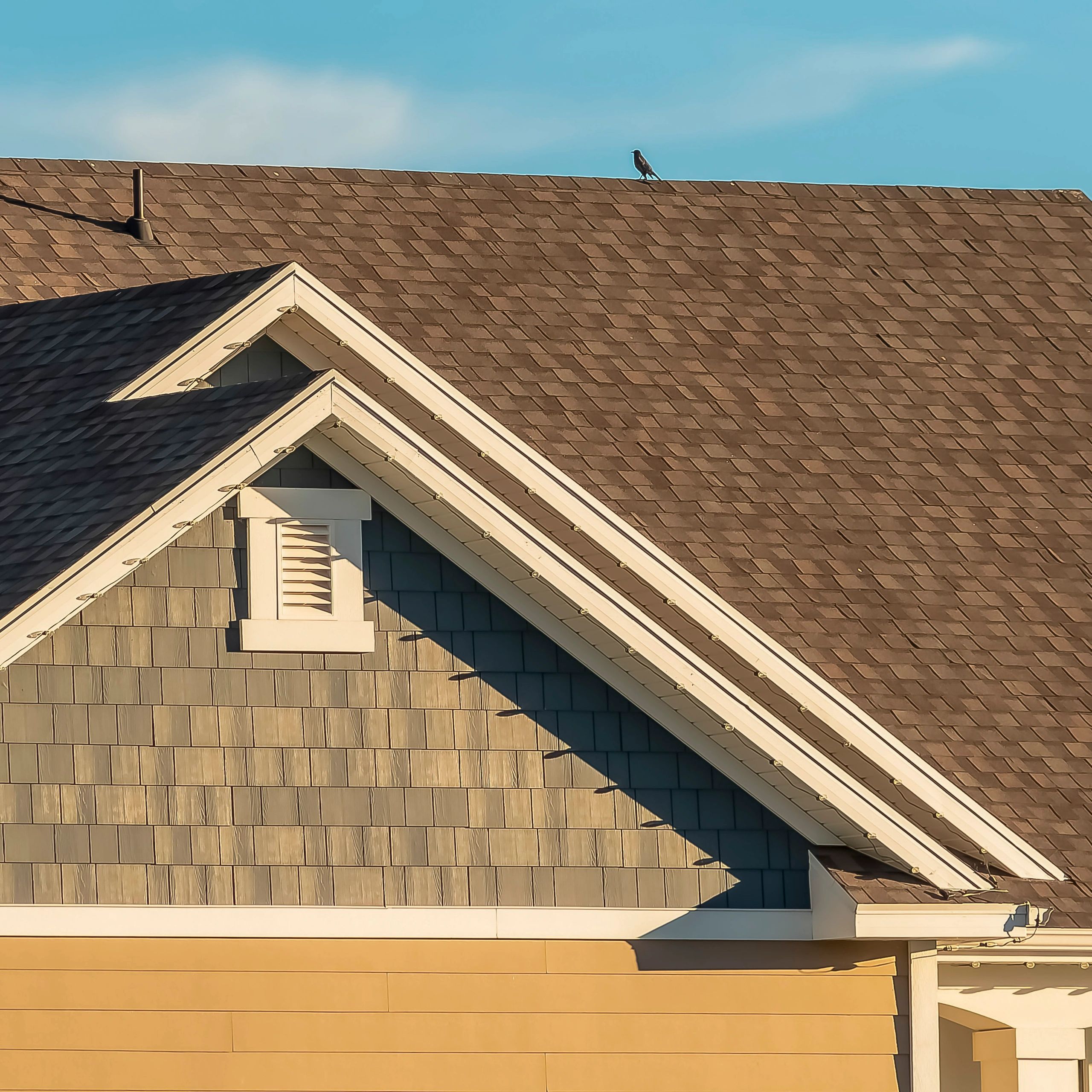 A bird perched on a brown shingled rooftop under a clear blue sky.