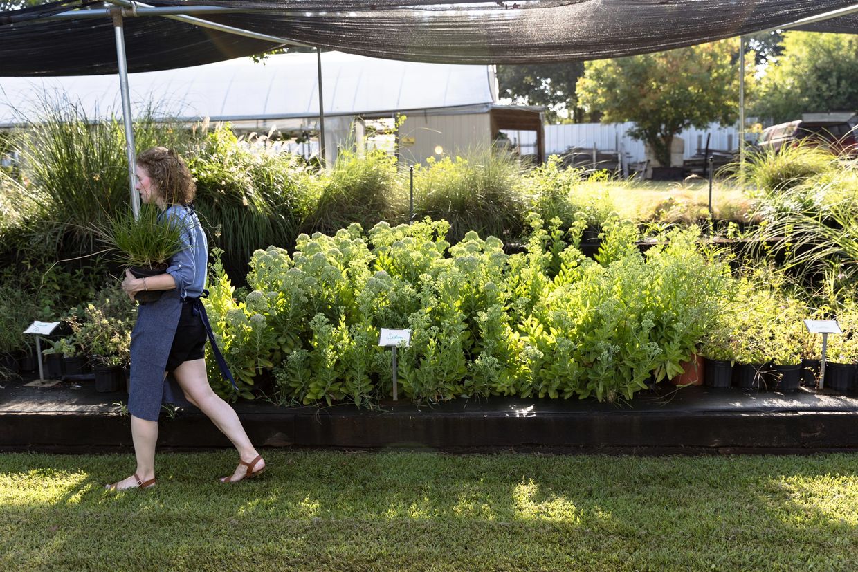Join our native garden design workshop at Oregon Library, Feb 11, 2026.