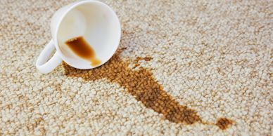Coffee Stain Removal