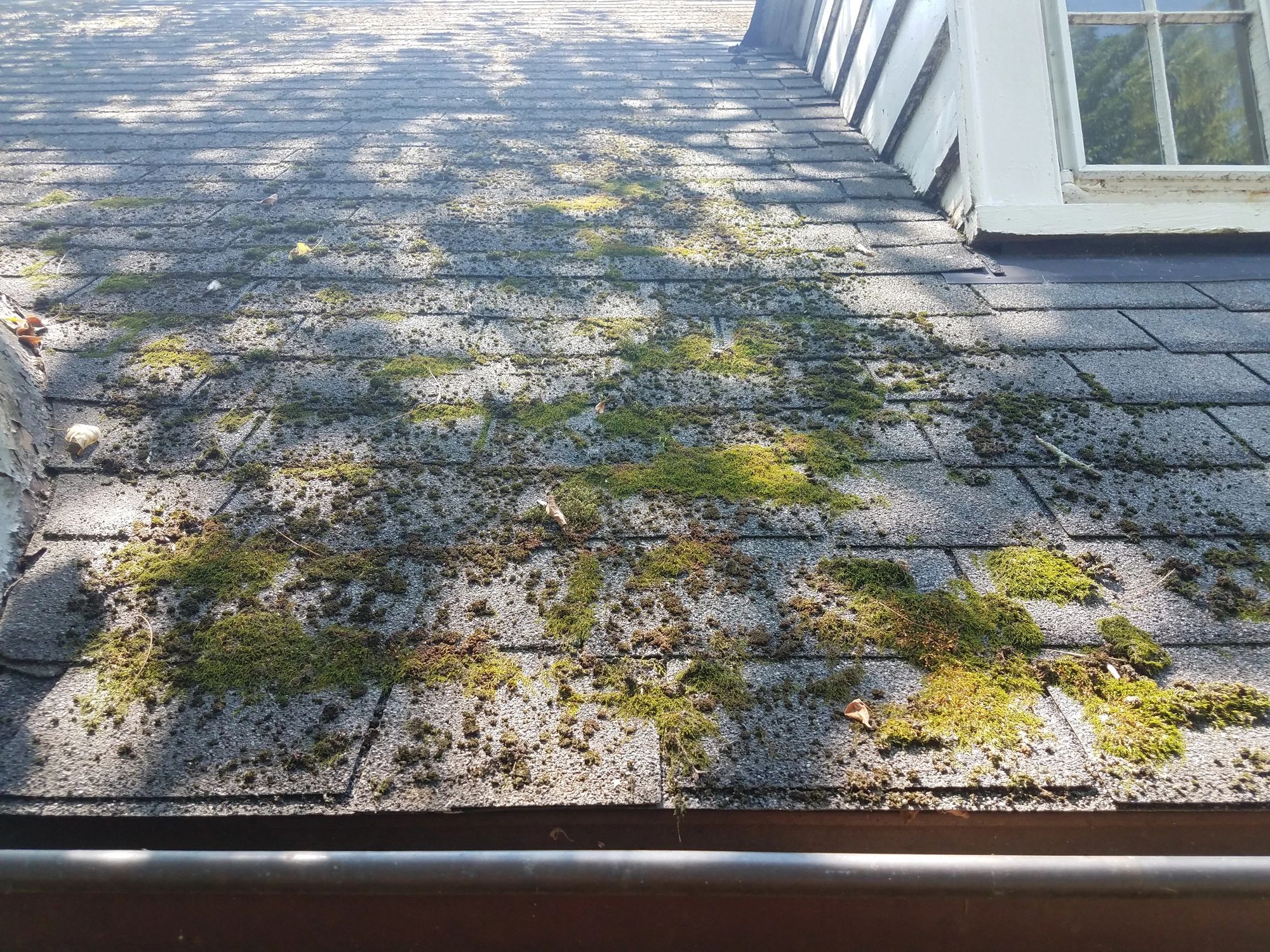 Before and after roof cleaning showing removal of moss and debris.