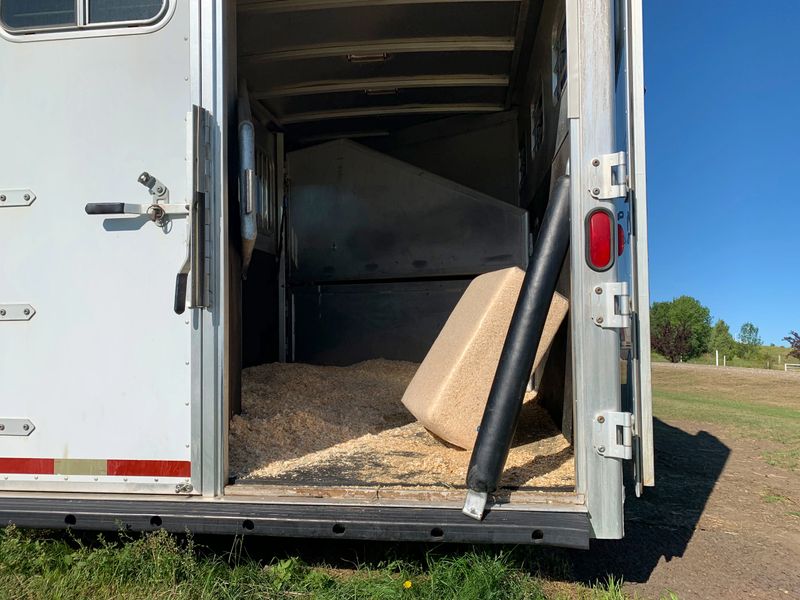 The open back door of a gooseneck slant load horse trailer that is clean with fresh shavings. Good yearly maintenance of your horse trailer is important.