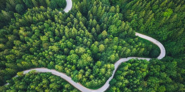 A winding road snakes through a dense green forest from above.