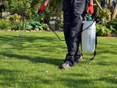 Lawn care in Sutton Coldfield by ABE Garden Services 