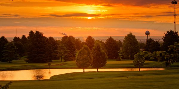A golfer putting on a green during sunset.