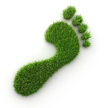 Green footprint made of grass symbolizing environmental impact.