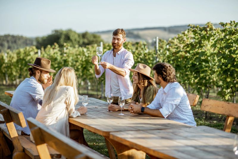 Group of a young people drinking wine and talking together while sitting at the dining table outdoors on the vineyard on a sunny evening