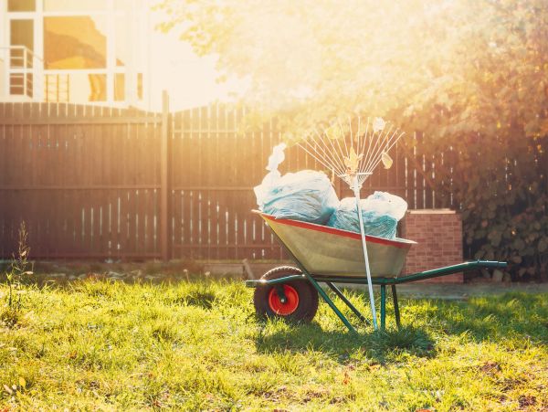 Wheelbarrow with bags and garden rake in sunlit yard.