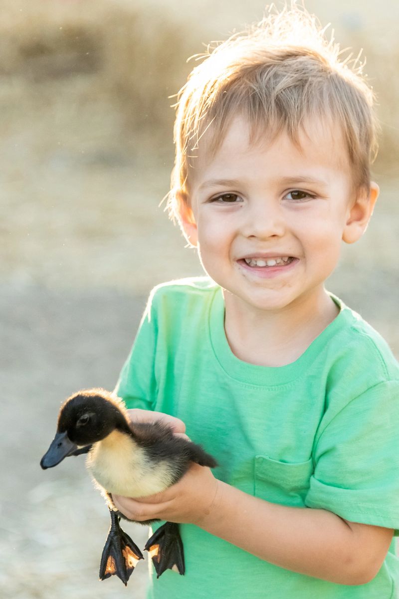 Caucasian Smiling little child boy holding a little baby duck
