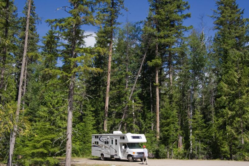 Big Motorhome with owner in the woods