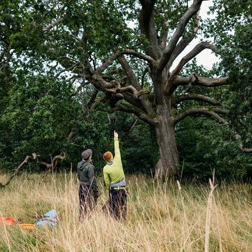 Two people in outdoor gear observe a large tree in a grassy field.