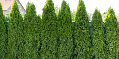 landscaping, mulch, landscaper near me, hardscaping, fall clean up, spring clean up, fence install