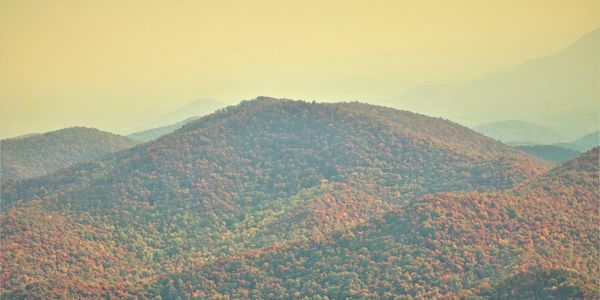 The Great Smoky Mountains are our inspiration.