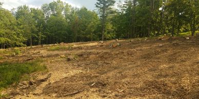Clearing trees and vegetation