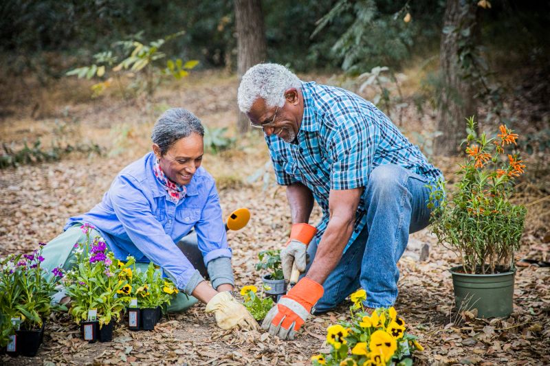 A senior retired black couple enjoying time together in the garden.