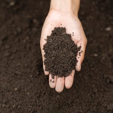 soil testing 