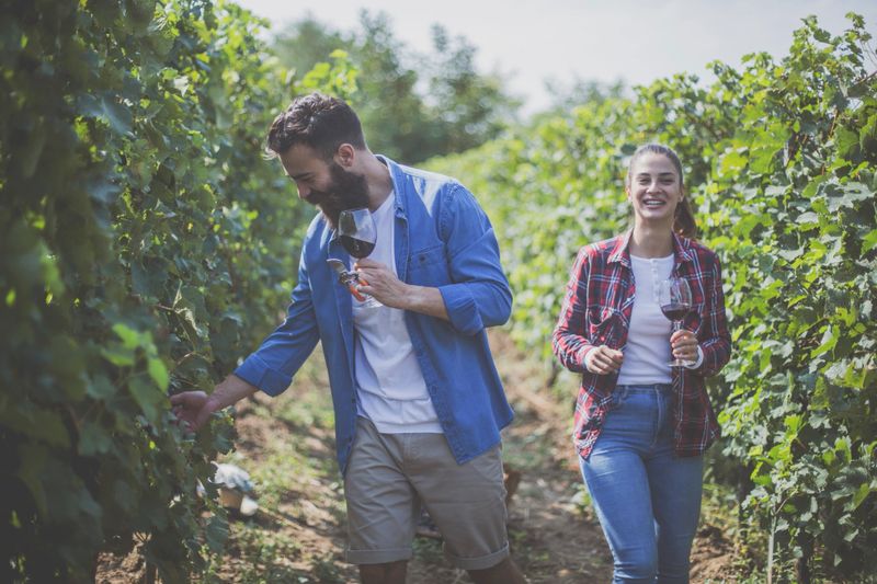 Wine tasting in the countryside