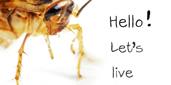 Close-up of a cockroach with a friendly message saying, 'Hello! Let's live together!'