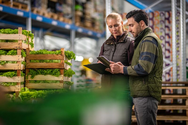 Male and female workers using digital tablet while checking crates of lettuce in warehouse.