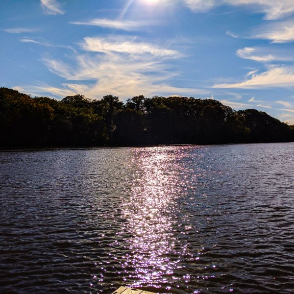 Sunlight glistening on a lake with trees and a partly cloudy sky.