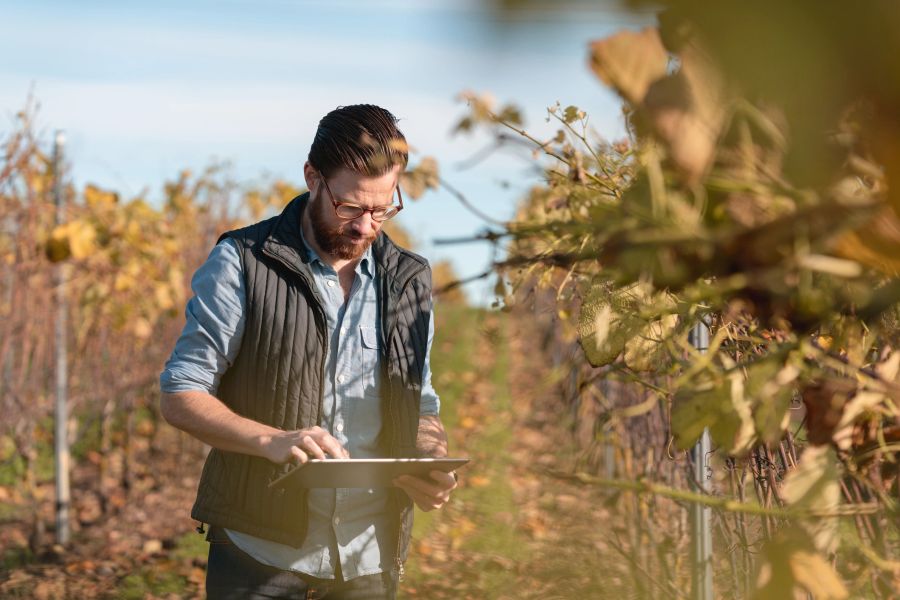 AI Mistakes Vineyard Owners Should Avoid in Australia (2026)