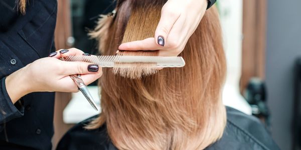 Woman getting hair style by trimming hair.