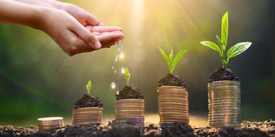 coins with plants on top growing money