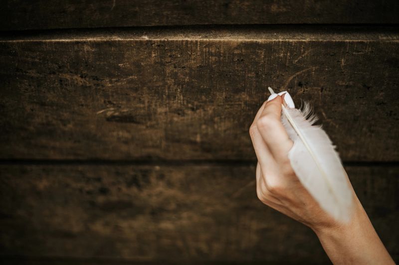 autumn design with bird feather