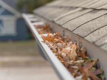 Close-up of a gutter filled with dry leaves.