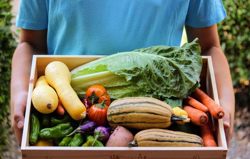Young man delivering Organic, locally grown fall vegetables in a farm share box