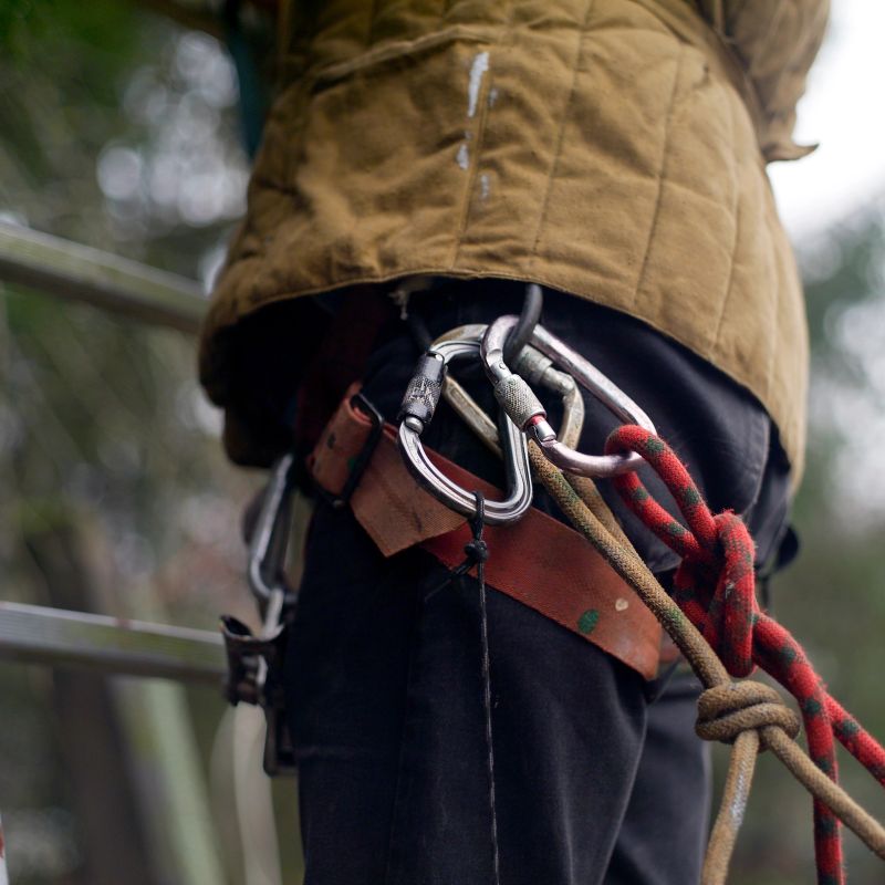 close-up of a climber with climbing  treeup equipment on the belt