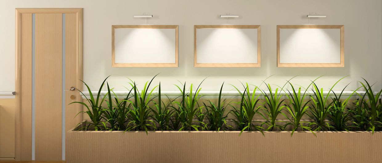Modern interior with green plants and empty wooden frames on beige walls.