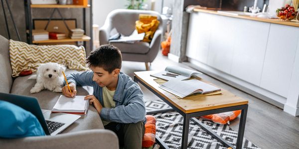 Boy doing homework on couch with his dog beside him.