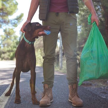 A dog with a man standing on the road