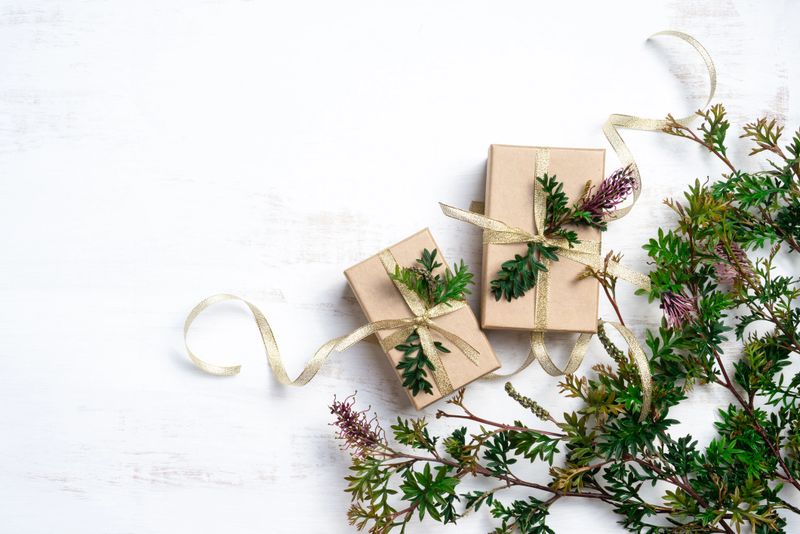 Australian native plant Grevillea frames beautiful gifts on a rustic white background. Gifts are wrapped in luxury gold ribbon. Celebration could be Christmas, Anniversary or Birthday