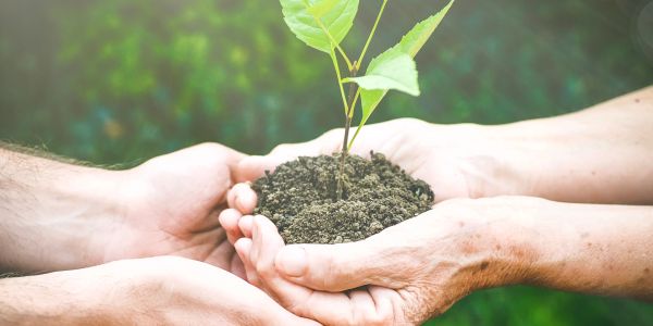 Two pairs of hands holding a small plant with soil, symbolizing growth and care.