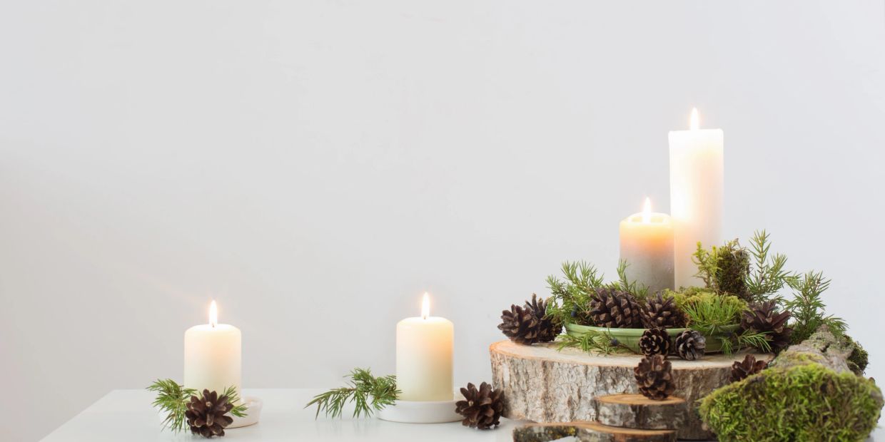 Serene forest lit by lanterns, inspired by nature.