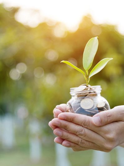 Hands holding a jar with coins and a growing plant symbolizing financial growth.