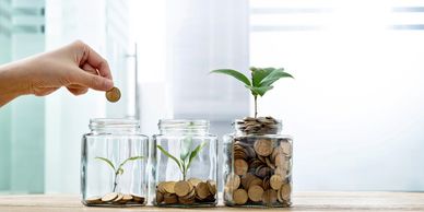 Hand placing coin in jar with growing plants symbolizing investment growth.