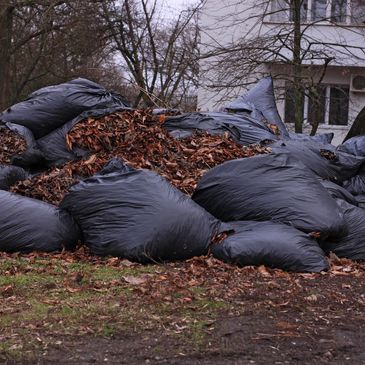 Yard waste removal