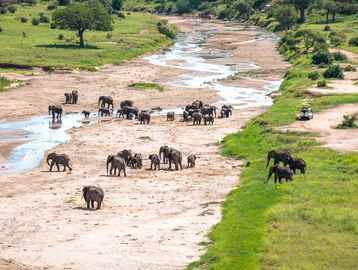 Tanzania Safari with Yao Tanzania Safaris