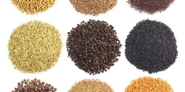 Nine different types of spices arranged in circular piles on a white background.