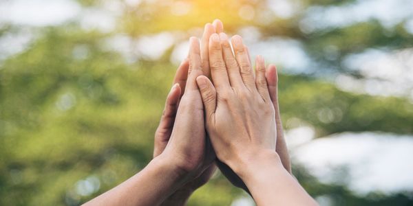 Nuestro Equipo Confianza