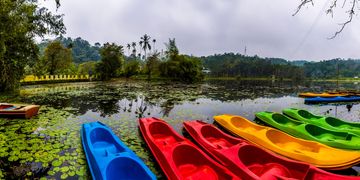 Green Wayanad hills – Bangalore to Wayanad tour package by Saraswathi Car Rentals