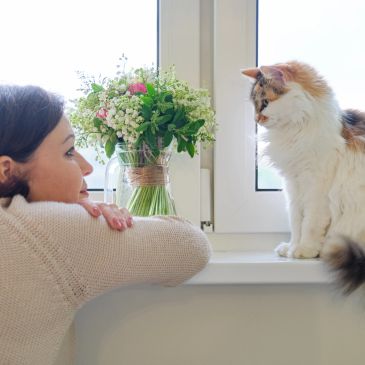 Woman looking at a cat by the window.