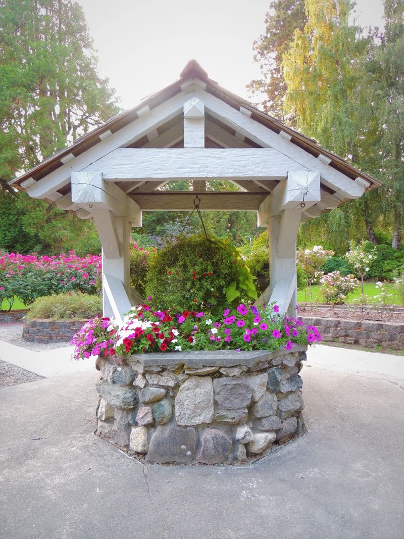 Flower garden located in Seattle, Washington.