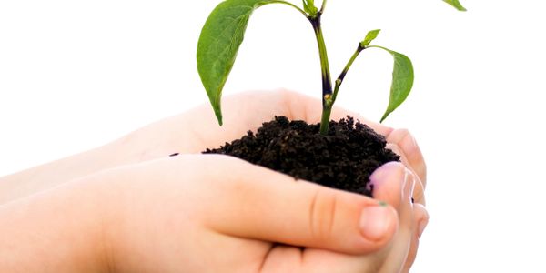 Exploring the nature