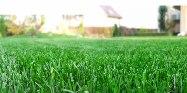 Trombley Property Services in Bradenton offers complete lawn care, landscaping and property services
