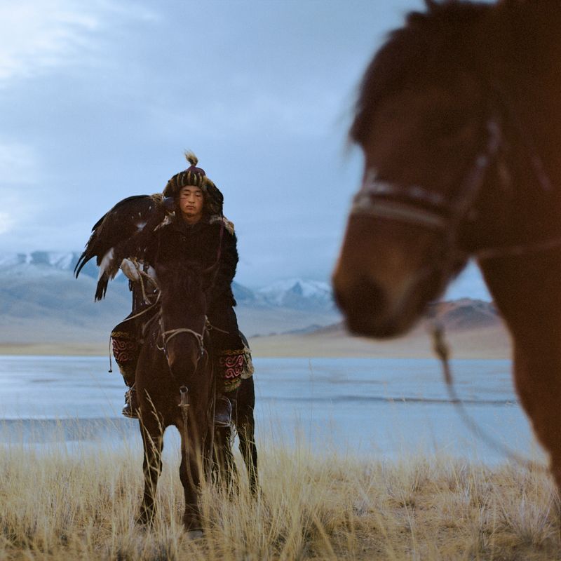 Portrait of eagle hunter on horse in desert in Mongolia