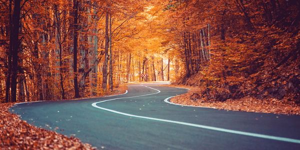 Curvy road winding through an autumn forest with vibrant orange leaves. navigating finances