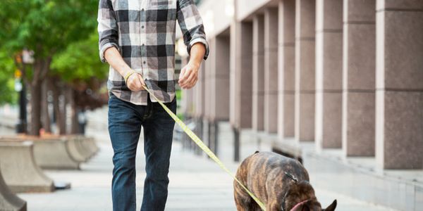 Women cuddling a happy French bulldog outdoors.